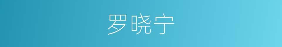 罗晓宁的同义词