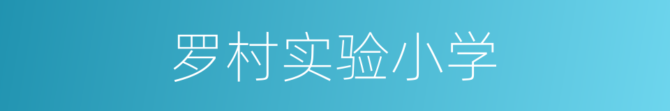 罗村实验小学的同义词