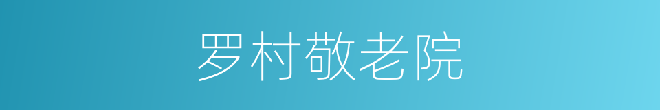 罗村敬老院的同义词