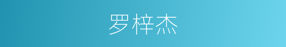 罗梓杰的同义词