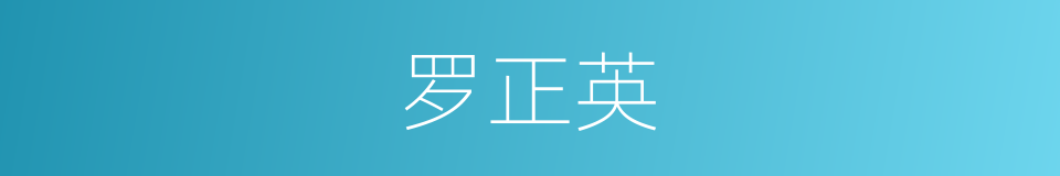 罗正英的同义词