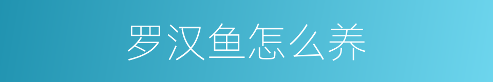 罗汉鱼怎么养的同义词