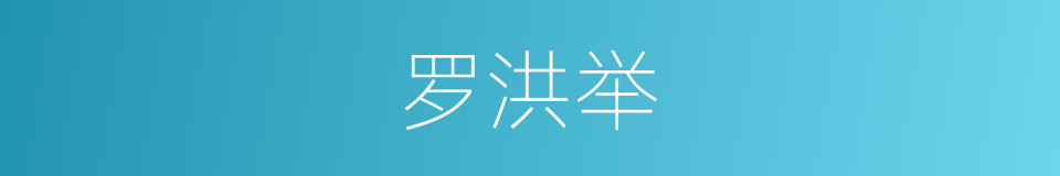 罗洪举的同义词