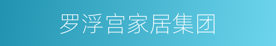 罗浮宫家居集团的同义词