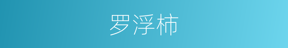 罗浮柿的同义词