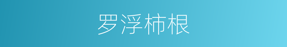 罗浮柿根的同义词