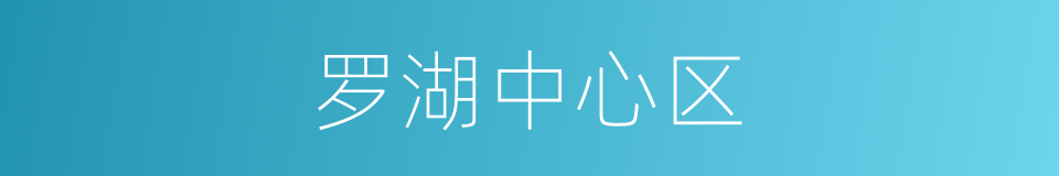 罗湖中心区的同义词