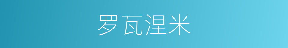 罗瓦涅米的同义词