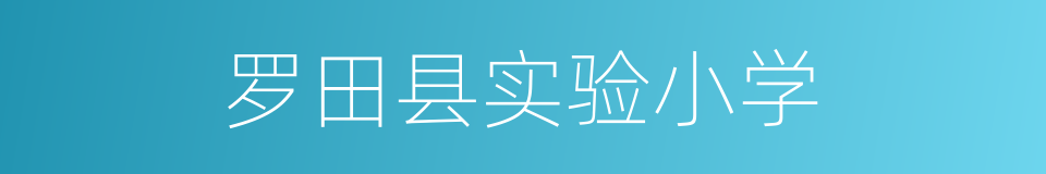 罗田县实验小学的同义词