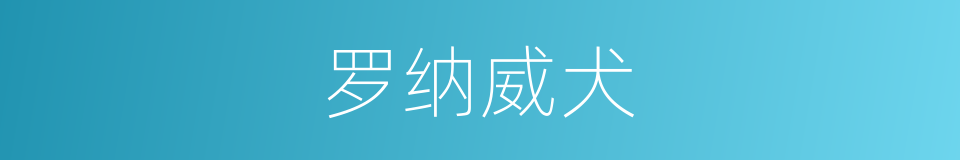 罗纳威犬的同义词