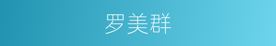 罗美群的同义词