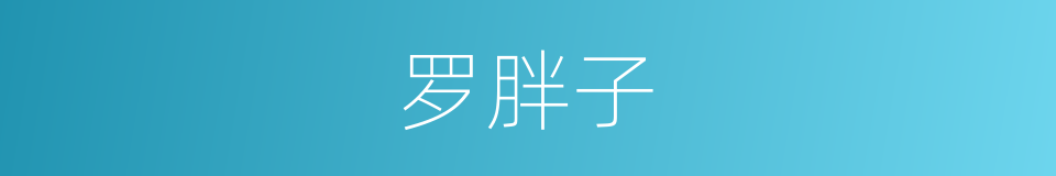 罗胖子的同义词