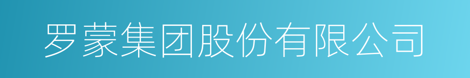 罗蒙集团股份有限公司的同义词