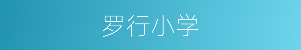 罗行小学的同义词