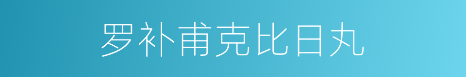 罗补甫克比日丸的同义词