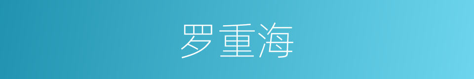 罗重海的同义词