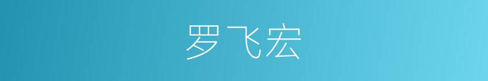 罗飞宏的同义词