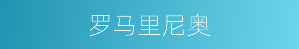 罗马里尼奥的同义词