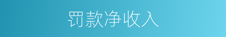 罚款净收入的同义词