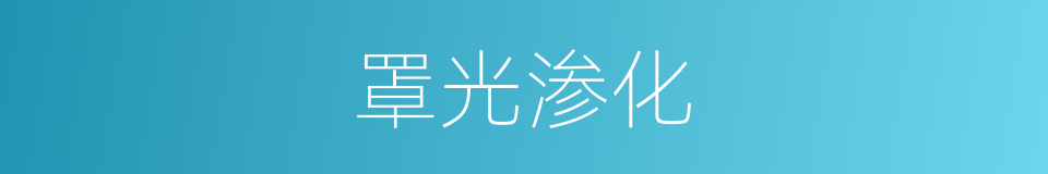 罩光渗化的同义词
