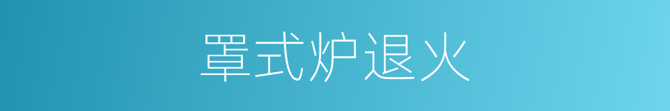 罩式炉退火的同义词