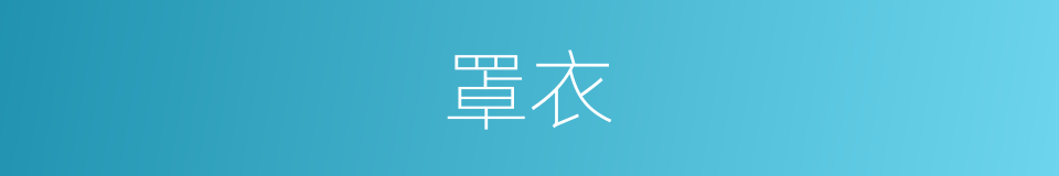 罩衣的意思