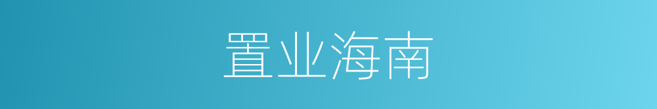 置业海南的同义词
