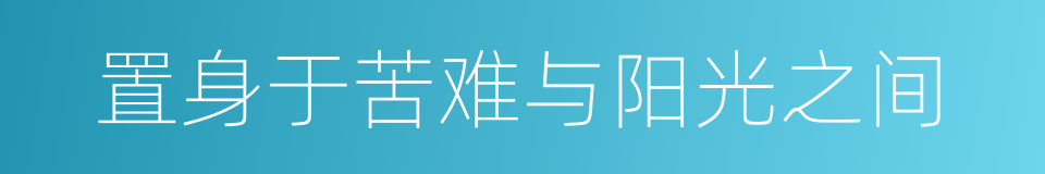 置身于苦难与阳光之间的同义词