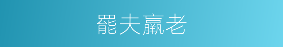 罷夫羸老的同義詞