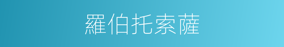 羅伯托索薩的同義詞