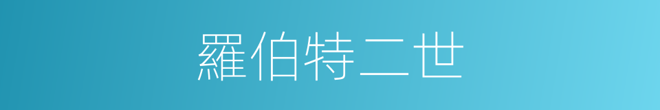 羅伯特二世的同義詞