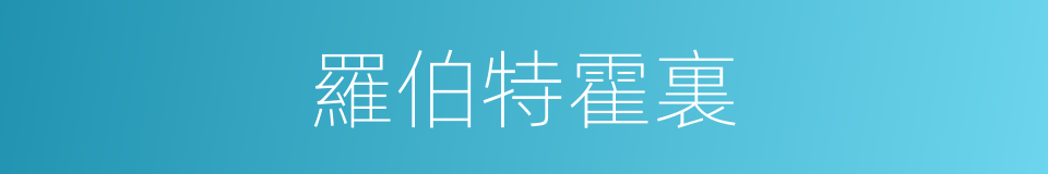 羅伯特霍裏的同義詞