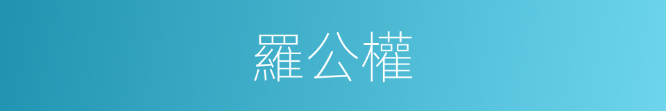 羅公權的同義詞