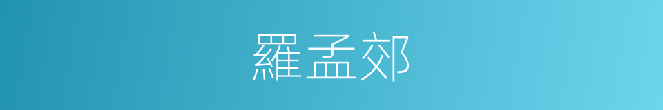 羅孟郊的同義詞