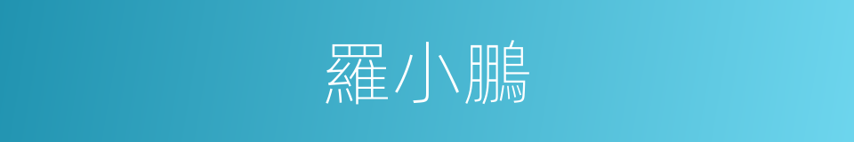 羅小鵬的同義詞