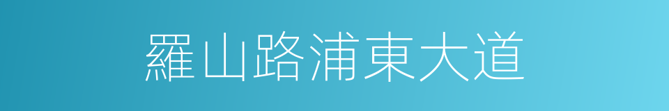 羅山路浦東大道的同義詞