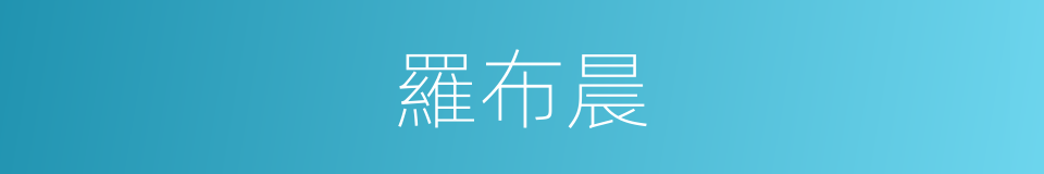 羅布晨的同義詞