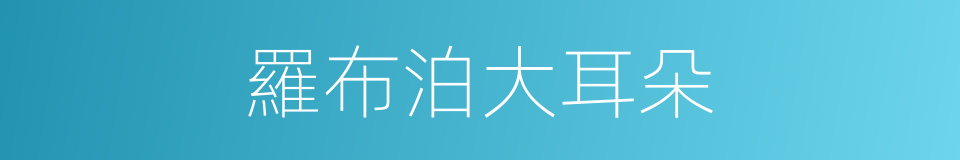 羅布泊大耳朵的同義詞