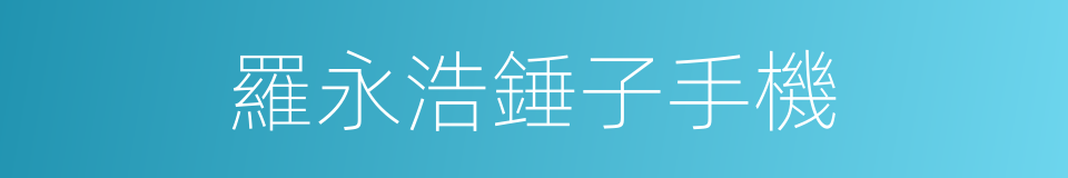 羅永浩錘子手機的同義詞