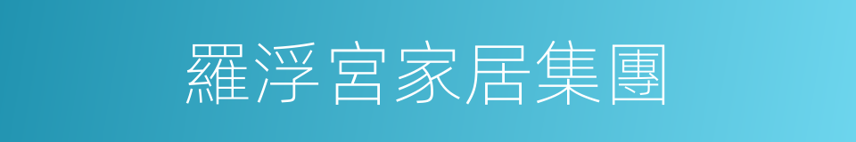 羅浮宮家居集團的同義詞