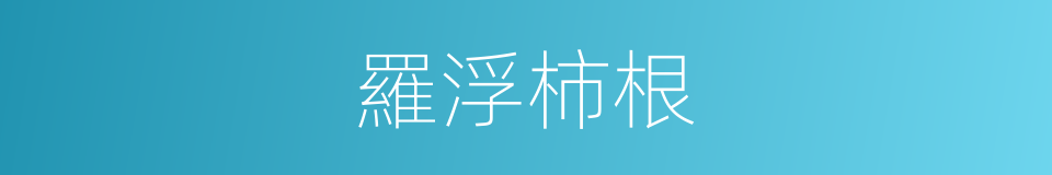 羅浮柿根的同義詞