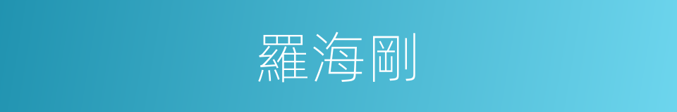 羅海剛的同義詞