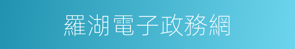 羅湖電子政務網的同義詞