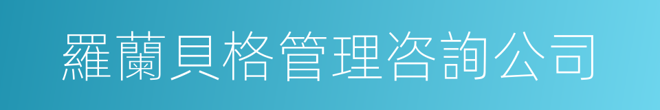 羅蘭貝格管理咨詢公司的同義詞