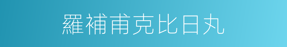 羅補甫克比日丸的同義詞