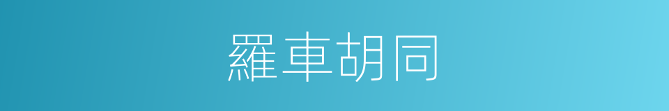 羅車胡同的同義詞
