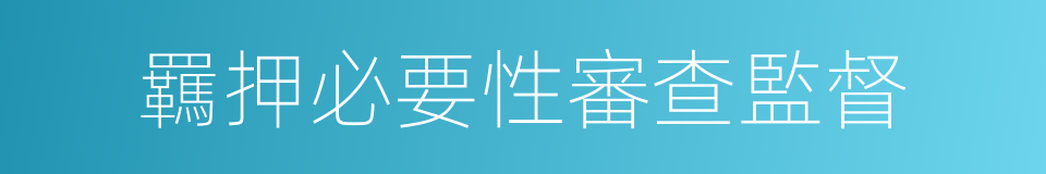 羈押必要性審查監督的同義詞