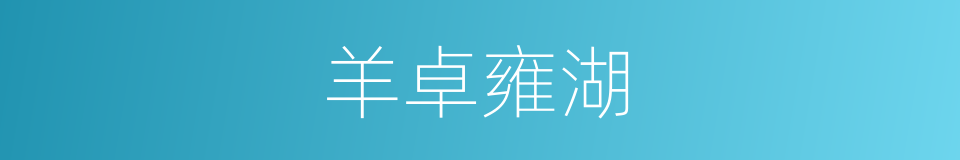 羊卓雍湖的同义词