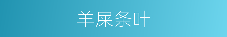 羊屎条叶的同义词