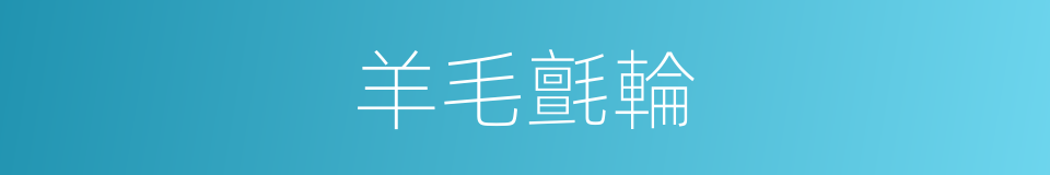 羊毛氈輪的同義詞